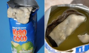 Fotógrafo acha objeto misterioso em caixa de água de coco